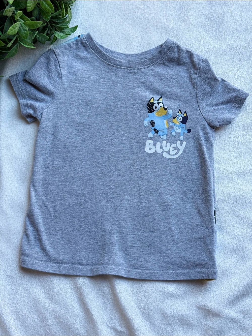 Bluey Grey Short Sleeve Tee for Kids